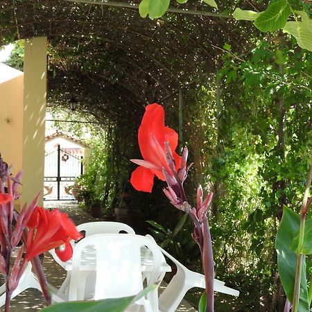 Skala Eresos Paradise Studios Skála Eresoú Dış mekan fotoğraf