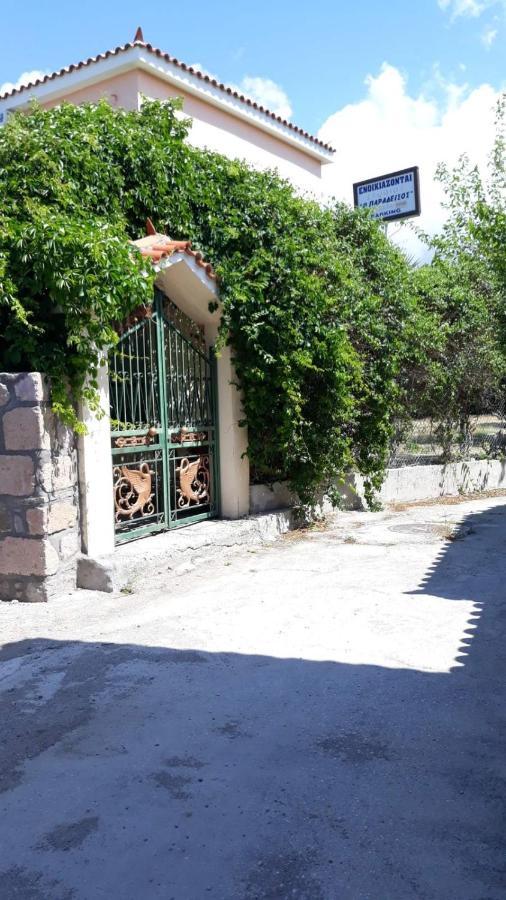 Skala Eresos Paradise Studios Skála Eresoú Dış mekan fotoğraf