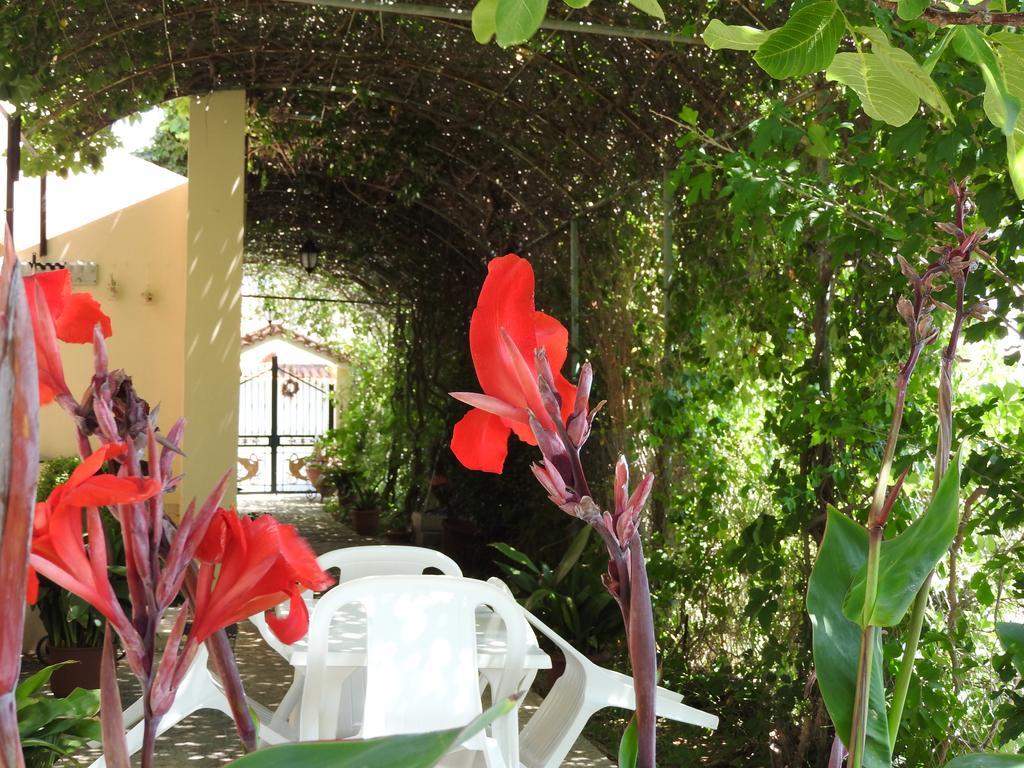 Skala Eresos Paradise Studios Skála Eresoú Dış mekan fotoğraf
