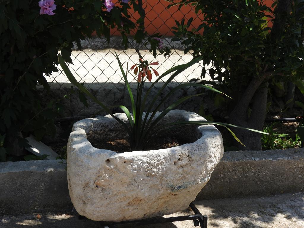 Skala Eresos Paradise Studios Skála Eresoú Dış mekan fotoğraf