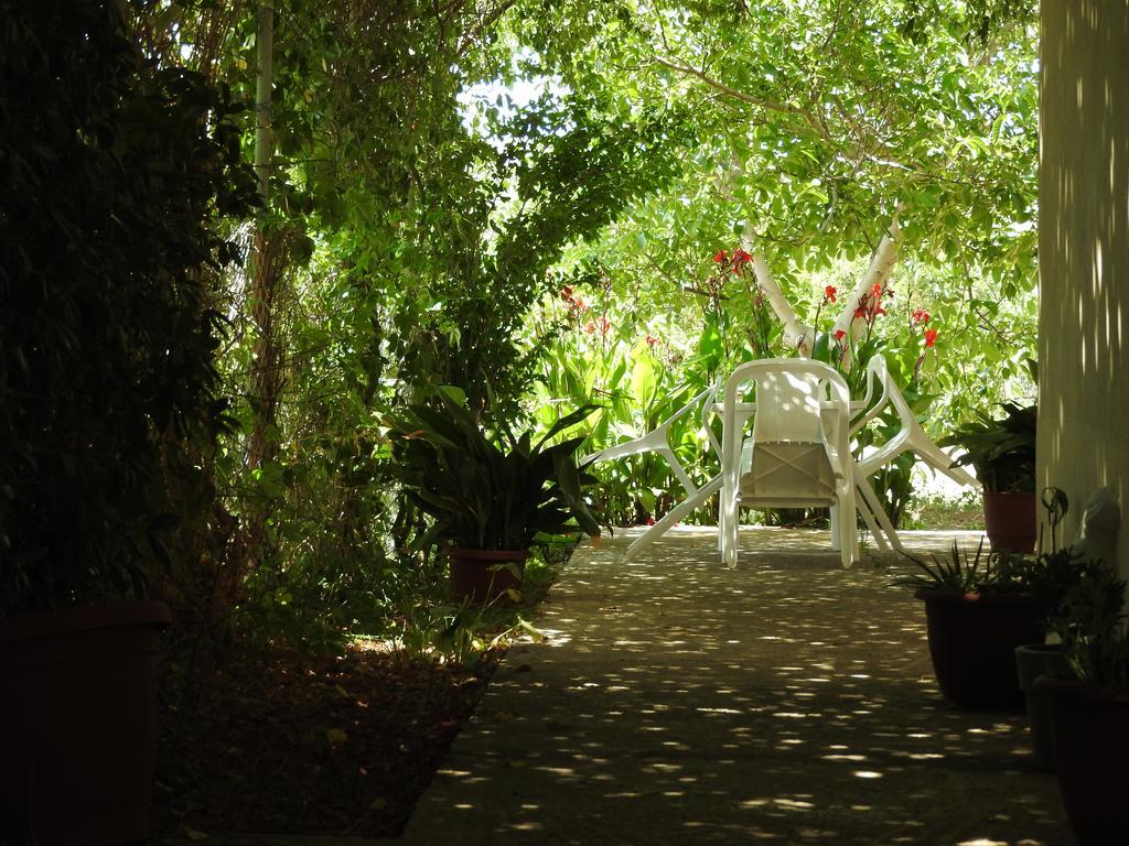 Skala Eresos Paradise Studios Skála Eresoú Dış mekan fotoğraf